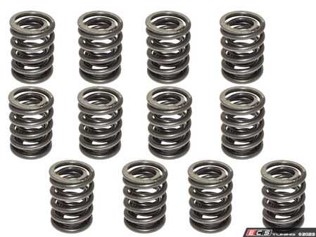 ES#4691361 - 99610593900KIT12 - Intake Valve Spring - Set Of 12 - Featuring Hamburg Technic Full Set of Valve Springs - Hamburg Tech - Porsche