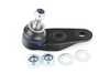 ES#4362089 - 31126772303 - Ball Joint - Left - Replace your worn out ball joint - Delphi - MINI
