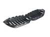 ES#4563664 - 51115A1BFB0 - FRONT ORNAMENTAL GRILLE - Genuine BMW - BMW