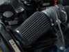 ES#4699145 - 008694la13bKT - E46 330 Luft-Technik Intake System - Black Filter  - Free-flowing intake featuring a roaring induction noise and increased performance to replace your restrictive factory intake. - ECS - BMW