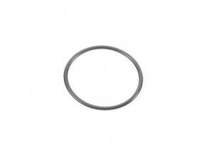 ES#3658457 - 13517528408 - O-Ring - Priced Each - Seal for high pressure fuel pump - Bosch - MINI