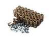 ES#4699053 - IEVTWD1 - Performance Valve Spring/Retainer Kit - High quality performance valve springs and titanium retainers - Integrated Engineering - Audi