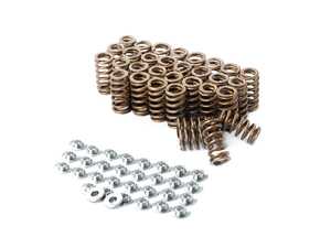 ES#4699053 - IEVTWD1 - Performance Valve Spring/Retainer Kit - High quality performance valve springs and titanium retainers - Integrated Engineering - Audi
