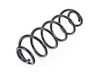 ES#450815 - 8K0511115DE - Rear Coil Spring - Priced Each
 - Paint marks: 4 Grey - Genuine Volkswagen Audi - Audi