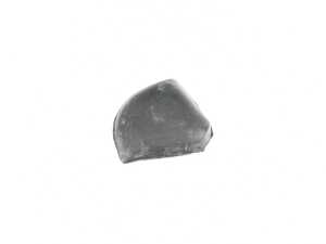 ES#3421402 - 51337445036 - LID WINDOW GUIDE B-P - Genuine BMW - BMW