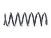 ES#4642609 - 36-294442 - Bilstein OE Replacement Springs - B3 OE Replacement - Coil Spring 13-17 X3 - Bilstein - BMW