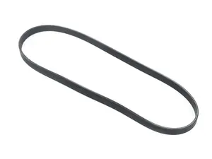 Accessory Belt