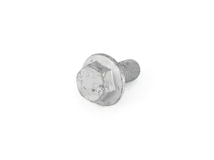 HEXAGON SCREW WITH F