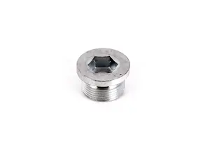 Drain/Fill Plug
