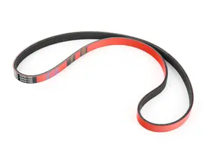 Performance Kevlar Reinforced Accessory Belt