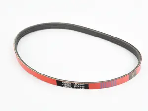Performance Kevlar Reinforced Accessory Belt - F8X S55