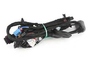 ES#3088022 - 8W0971030BL - Front Door Wiring Harness - Front Right
 - Connects the window functions, lights, and central locking to the main harness - Genuine Volkswagen Audi - Audi