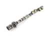ES#22418 - 11317841166 - Camshaft Exhaust - Cylinder 1-4 - High-performance OEM camshaft for BMW S65, ensuring precision and durability. - Genuine BMW - BMW