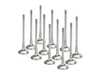ES#4643349 - BMEVI-1055S-HS-1 - Supertech Sodium Filled Exhaust Valve - Set Of 12 - Single Groove sodium filled exhaust valve set for high performance builds - Supertech - BMW