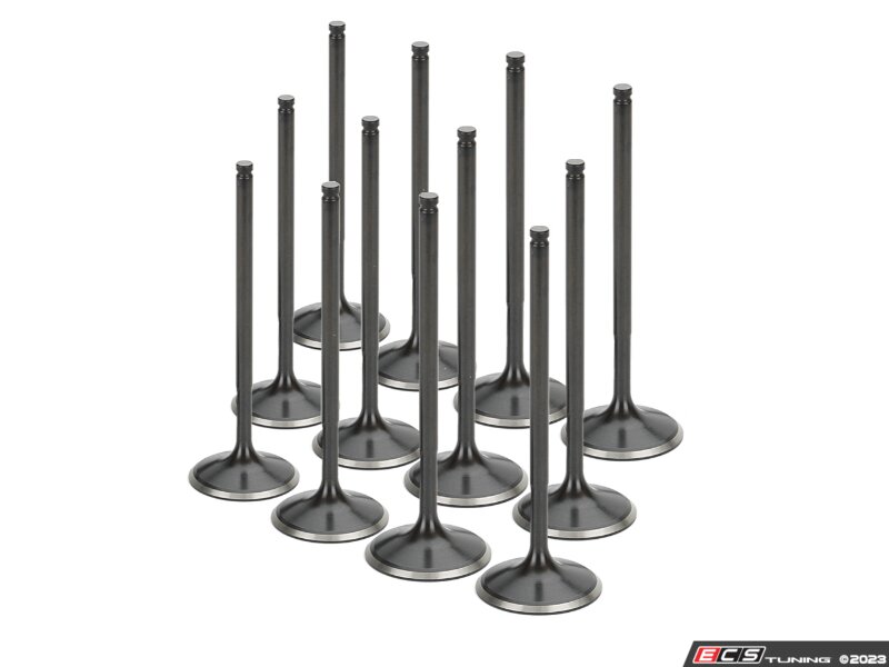 Supertech F20C/F22C Nitride +1.0 Dished Intake Valve Set