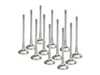 ES#4716076 - bmevi-1054s-hsKT - Exhaust Valve Set - Sodium Filled - Std Size - Inconel-Nimonic / Sodium Filled, Std 28mm, set of 12. - Supertech - BMW