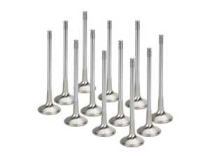 ES#4716076 - bmevi-1054s-hsKT - Exhaust Valve Set - Sodium Filled - Std Size - Inconel-Nimonic / Sodium Filled, Std 28mm, set of 12. - Supertech - BMW