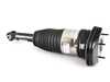 ES#4185201 - 37106872967 - AIR SPRING STRUT, REAR LEFT - Genuine BMW - BMW
