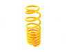 ES#2091945 - 10210032 - V1 Series Coilover System - Fixed Damping - Variant 1 coilovers offer the best balance between sporty driving and comfort - KW Suspension - Audi