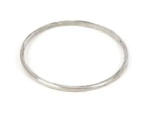 BMW Exhaust Pipe Gasket