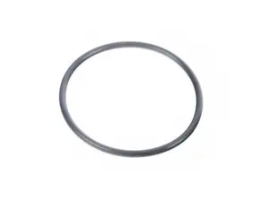 DSG Filter O-Ring