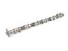 ES#22079 - 11311703892 - Camshaft - Exhaust - Replacement camshaft for M52 engine - Genuine BMW - BMW