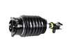 ES#4733423 - AS-3424 - Front Air Suspension Strut - Right - Front Axle, Right Side - Replace in pairs - Arnott - Mercedes Benz