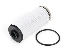 DSG Transmission Filter & O-ring Kit
