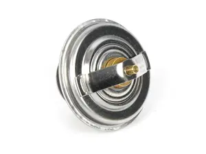 Thermostat - 75*C