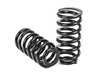 ES#4348498 - C-2896 - Rear Coil Spring Conversion Kit - Convert your troublesome load leveling rear air bags to coil springs! - Arnott - Mercedes Benz
