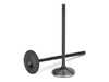 ES#4733646 - VWIVN-1010-6 - Supertech Valves - 2mm Oversized - Set Of 6 - Upgraded +2mm oversized black nitrided intake valve - Supertech - Volkswagen