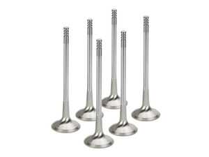 ES#4736165 - VWEVI-1010-6 - Supertech Exhaust Valve - 1.8mm Oversize - Set of 6 - Upgraded 1.8mm oversize black Inconel coated exhaust valves - Supertech - Volkswagen