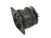 ES#2814247 - 1H0199262L - Engine Mount - Hamburg Tech - Volkswagen