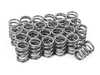 ES#3024820 - SPRK-H1000DBM - M50/50 racing valve kit  SPRK-H1000D-BM - Developed for the performance enthusiast - Supertech - BMW