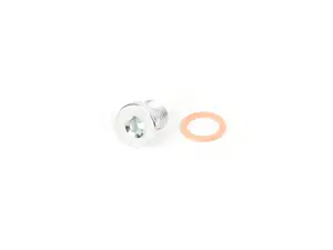 Drain/Fill Plug - Priced Each
