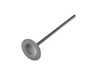 ES#4716055 - BMIVN-1054S-1 - Intake Valve - Black Nitride - Oversize - Sold Each - Stainless Steel 21-4N, Oversize 31.9mm (+0.5mm) - Supertech - BMW