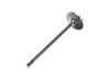 ES#4716055 - BMIVN-1054S-1 - Intake Valve - Black Nitride - Oversize - Sold Each - Stainless Steel 21-4N, Oversize 31.9mm (+0.5mm) - Supertech - BMW