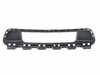 ES#3317850 - 982807681AOK1 - GRILLE - Genuine Porsche - 