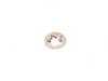 ES#32981 - 13321440349 - Circlip - See MOQKT - Genuine BMW - BMW