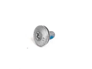 Torx Bolt