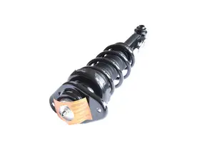 Loaded Rear Strut - Rear Right