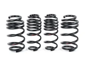 B8/8.5 A5/S5 Lowering Springs & Heavy Duty Rubber Rear Shock Mounts