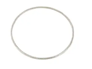 Exhaust Gasket