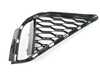 ES#3515356 - 51118069097 - GRID LATERAL LEFT - Genuine BMW - BMW