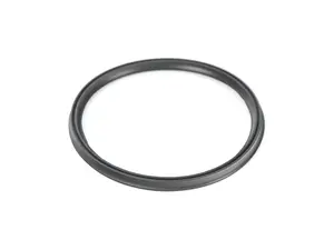 Intake Seal