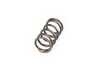 ES#4485275 - PAC-I92009 - Cat Cams Competition Valve Spring - Priced Each - Required for utilizing a race cam safely. - Cat Cams - BMW