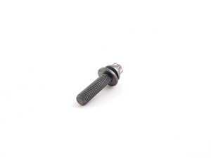 ES#16154 - 07129905569 - TORX BOLT - Genuine BMW - BMW