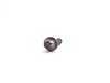 ES#16154 - 07129905569 - TORX BOLT - Genuine BMW - BMW