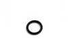 ES#24414 - 11517507717 - O-Ring - 17x0.3mm - Genuine BMW - BMW