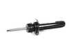 ES#2993967 - 31316874386 - Front Right Spring Strut - Genuine BMW - BMW